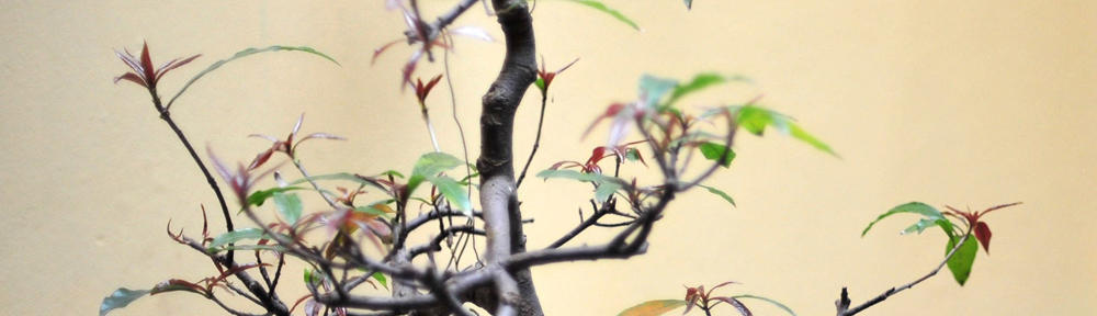 HANC Wrocław – Remonty i wykończenia wnętrz | Usługi budowlane, łazienki, kuchnie, pod klucz